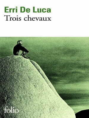 cover image of Trois chevaux